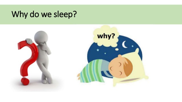 خواب چیست و چرا به آن نیاز داریم؟